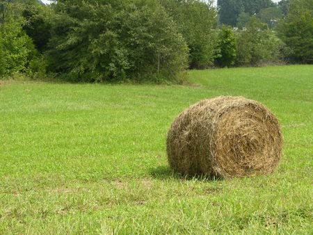 hay bale in the field ready for harvestの写真素材