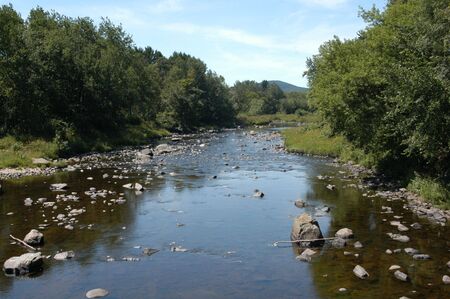 A new hampshire river in the summer timeの写真素材