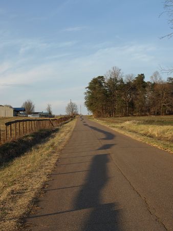 A rural road in the afternoon sunの写真素材