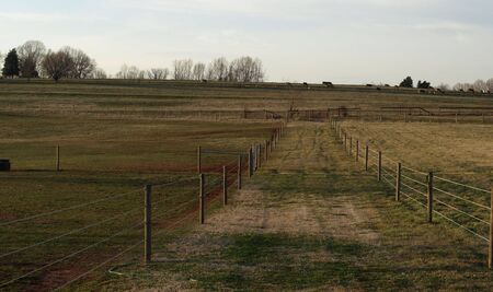 A farm with fence to seperate the fieldsの写真素材