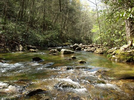 A fast moving creek in rural North Carolinaの写真素材