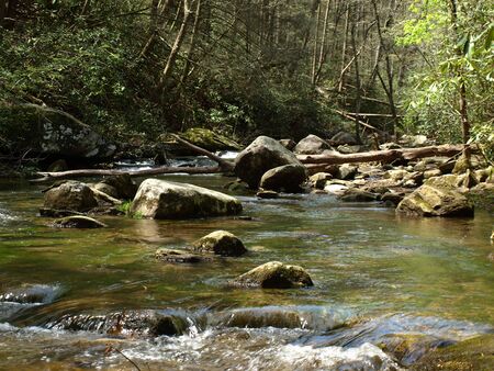 A creek in rural North Carolina during the springの写真素材