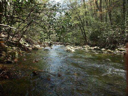 A fast moving spring in rural North Carolinaの写真素材