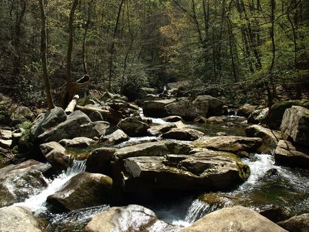 A fast flowing stream running over rocks in rural North Carolinaの写真素材