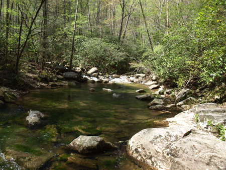 Jacobs Fork River in the spring of the year. The river is located in North Carolina.の写真素材