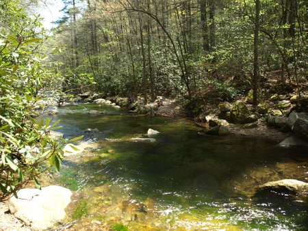 Jacobs Fork River in the spring of the year. The river is located in North Carolina.の写真素材