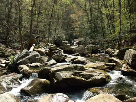 Jacobs Fork River in the spring of the year. The river is located in North Carolina.の写真素材