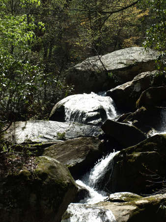 Jacobs Fork River in the spring of the year. The river is located in North Carolina.の写真素材