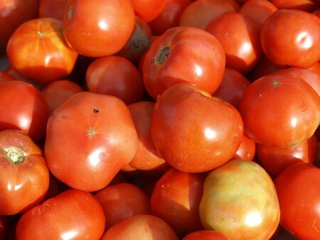 Closeup view of red tomatoes at a farmers marketの写真素材