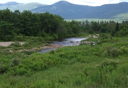 A flowing creek in rural New Hampshireの写真素材