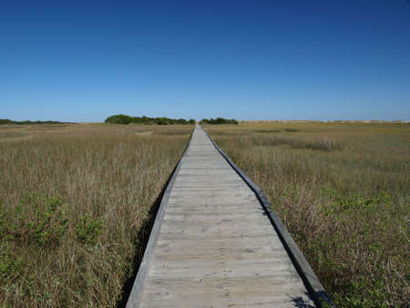 View of a marsh along the North Carolina Shore with a bridge over the wet landの写真素材