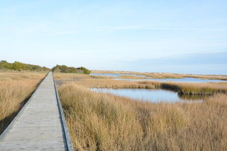 A long board walk near the shore in North Carolina