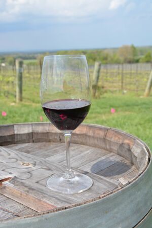 Wine glass on a barrel at a vineyard.の写真素材