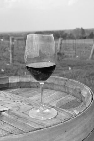 Wine glass on a barrel at a vineyard.の写真素材
