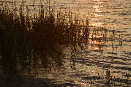 Reflections on the water at sunset.の写真素材