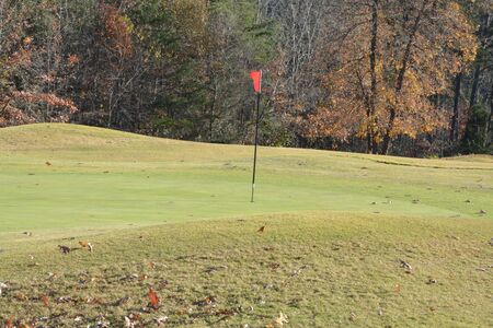 Near the flag on a golf course during the fall of the year. の写真素材
