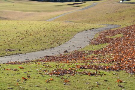 a walking path shown in the fall of the year with leaves that need to be raked.の写真素材