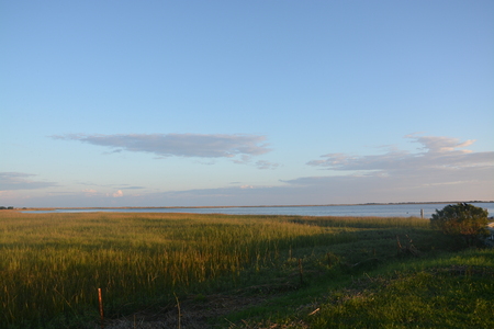 View along the coast o North Carolina.の写真素材