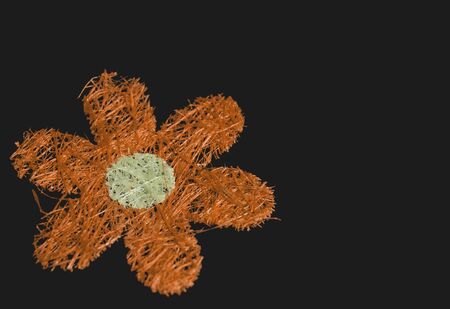 straw flowerの写真素材