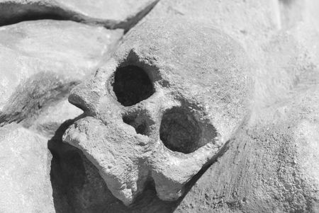 Skullの写真素材