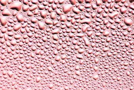 Water Drops