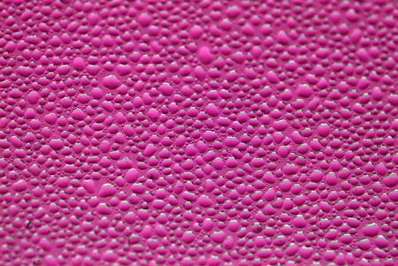 Water Dropsの写真素材