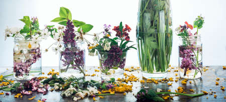 Vivid picturesque bouquets of colorful spring flowers in glass vases bottles, standing in a row on a light wooden background table.の写真素材