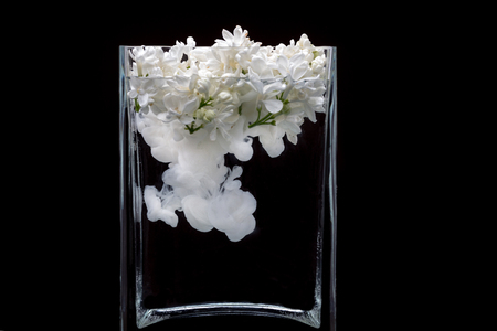 Picturesque lilac flowers and colorful ink swirling in water in a glass vase on a black backgroundの写真素材