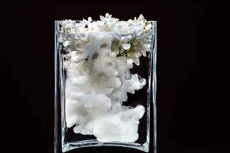 Picturesque lilac flowers and colorful ink swirling in water in a glass vase on a black backgroundの写真素材