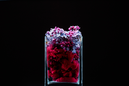 Picturesque lilac flowers and colorful ink swirling in water in a glass vase on a black backgroundの写真素材
