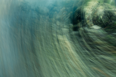 Motion blurred foliage. Decorative background