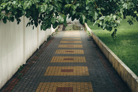 Stone walkway in city after rainの写真素材