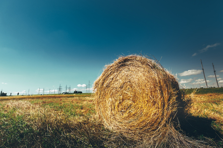 Hay bale. Agriculture field with sky. Rural nature in the farm land. Straw on theの写真素材