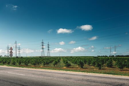 Asphalt road, passing by the green vineyards, picturesque industrial agricultural landscapeの写真素材
