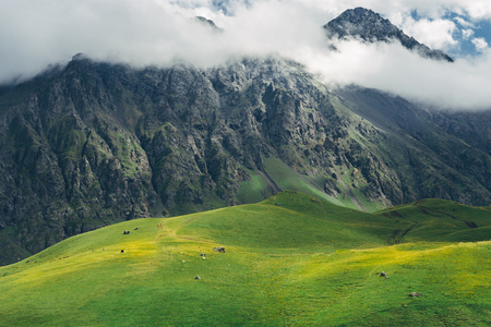Picturesque Landscape. Green Hills, Meadow And Mountains In The Clouds. Elbrus, North Caucasus, Russiaの写真素材