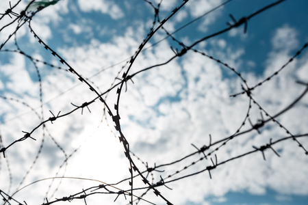 Barbed Wire Fence Against Blue Sky. Freedom Independence Silence Loneliness Conceptの写真素材