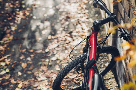 Mountain Bicycle Stands Near A Brick Wall, View From Bikers Eyes.の写真素材