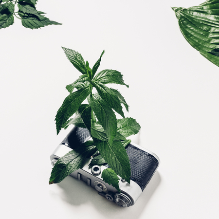 The plant sprouted from the lens of the film camera. Creative concept of achievement and motivation