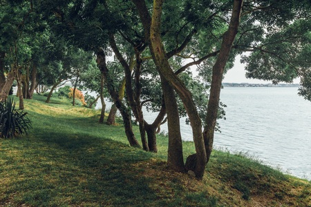 Eco Tourism Concept. Picturesque sea coast of Gelendzhik bay. Gelendzhik, Russiaの写真素材