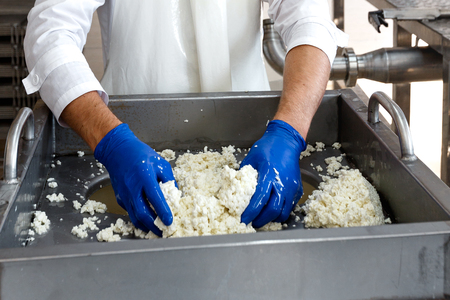 Traditional Cheese Making In A Small Company. Cheese Maker Hands Close-up Top Viewの写真素材