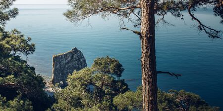 Sea, pines, Sail Rock, picturesque seascape. Black Sea, Krasnodar Region, Northern Caucasus, Russiaの写真素材
