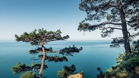 Sea, pines, Rock, picturesque sunny seascape. Black Sea, Krasnodar Region, Northern Caucasus, Russiaの写真素材