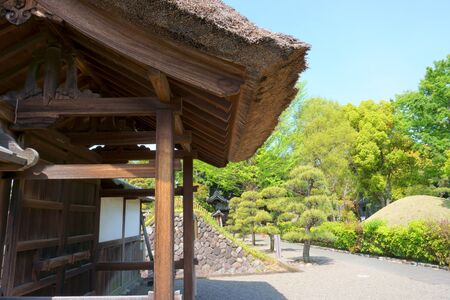 Asian landscape. Roof japanese style, element of ancient architecture. Blue sky, green tree, vintage roofの写真素材