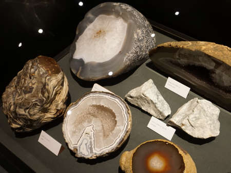 Agates: tree agate, enhydro agate, amethyst agate