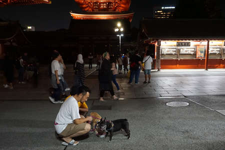 Tokyo / Japan - September, 16 2018: Dog walking. Senso-ji Buddhist temple located in Asakusaのeditorial素材