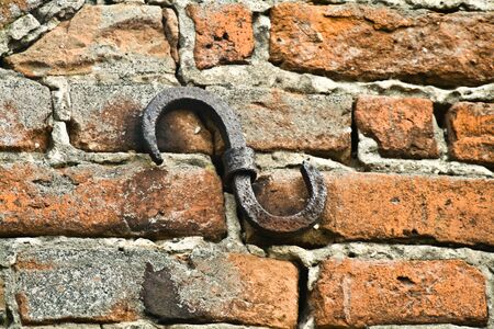 brown bark very old oak tree in the forestの写真素材