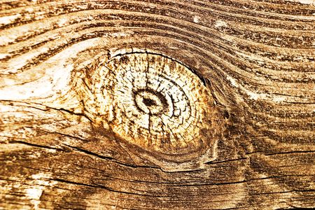 old grey wood textured for abstract bacground
の写真素材