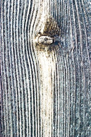 old grey wood textured for abstract bacground
の写真素材
