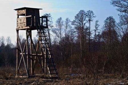 wooden structure standing near the forest on a sunny afternoonの写真素材