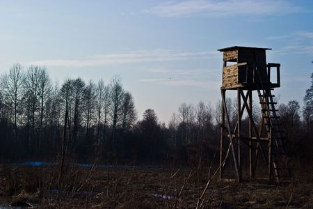 wooden structure standing near the forest on a sunny afternoonの写真素材